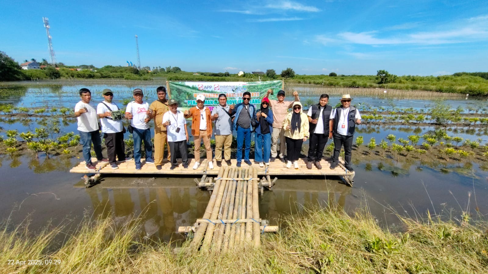 PT IKPP Tangerang Tanam 10.000 Mangrove untuk Selamatkan Pesisir