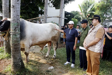Wali Kota Tangerang Tinjau Proses Penyembelihan Hewan Kurban